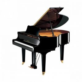 Grand Piano Yamaha GC1 PE