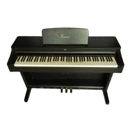 Đàn Piano Điện Korg C35W