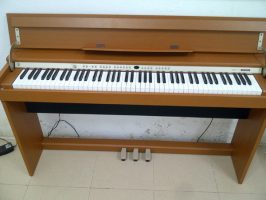 Đàn Piano Điện Kawai PN2