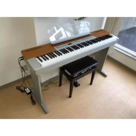 2-yamaha-p120s