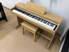 Piano-Yamaha-YDP-162C-1