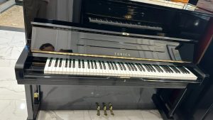 cửa hàng bán đàn piano