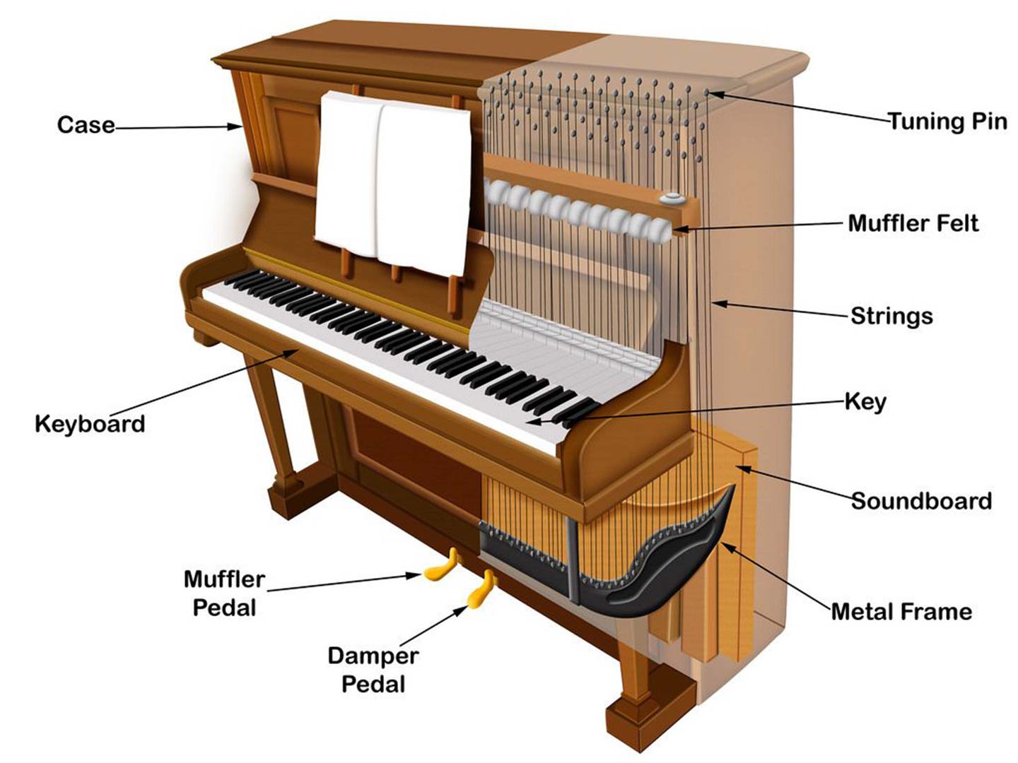 Cách kiểm tra đàn Piano trước khi mua