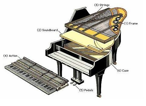 Những Cây Đàn Piano Đắt Nhất Thế Giới Và Câu Chuyện Đằng Sau - Khám Phá Nghệ Thuật Âm Nhạc