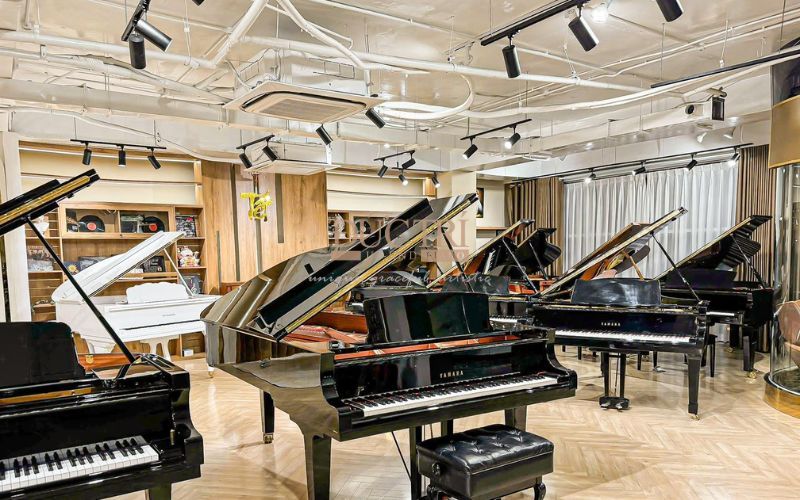 Khám phá đàn Piano chất lượng tại Bắc Ninh - Top 5 Điểm đến lý tưởng cho những người yêu nhạc