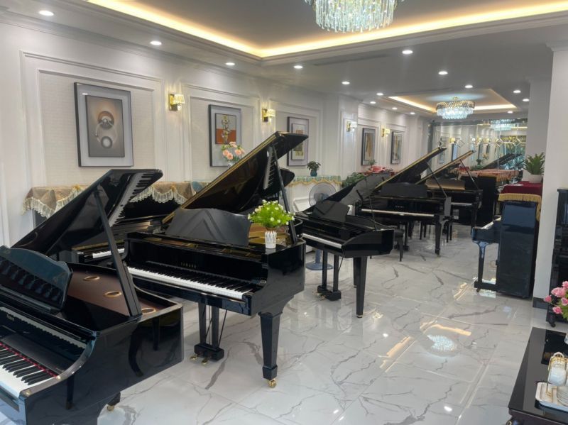 Chọn lựa đàn Piano phù hợp ở Bắc Ninh - Hướng tiếp cận toàn diện cho người yêu nhạc và học đàn
