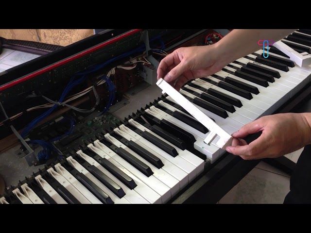 Trải nghiệm học đàn piano ở Bắc Ninh - Đăng ký khóa học ngay!