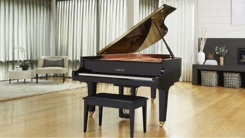 Hướng dẫn mua đàn piano cho người mới bắt đầu ở Bắc Ninh - Lựa chọn hoàn hảo cho hành trình âm nhạc của bạn