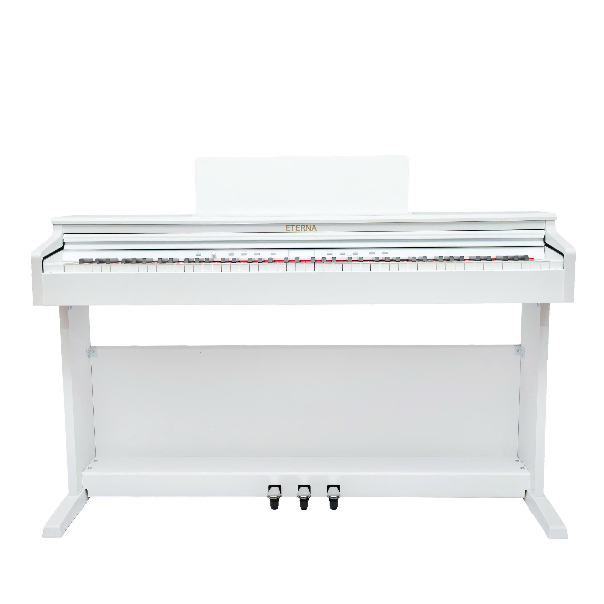 Tư vấn mua đàn piano điện tử cho người chơi ở Bắc Ninh - Hành trình khám phá âm nhạc chất lượng cao tại vùng đất cửa biển